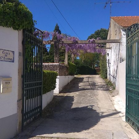 Casa Dos Arrabidos Pensionat Torres Novas Eksteriør billede