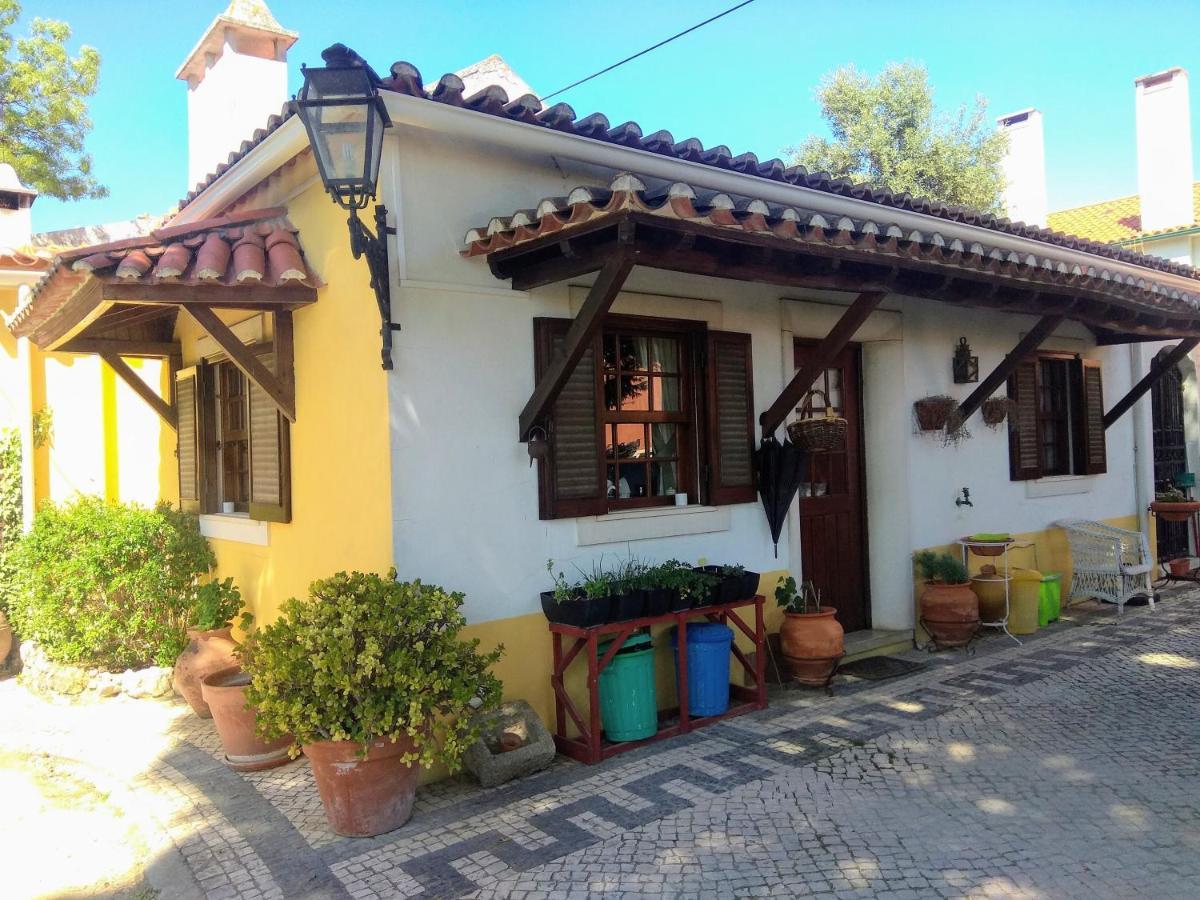 Casa Dos Arrabidos Pensionat Torres Novas Eksteriør billede