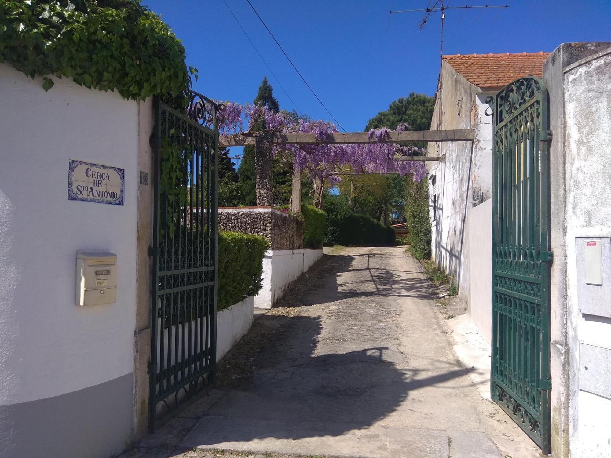 Casa Dos Arrabidos Pensionat Torres Novas Eksteriør billede